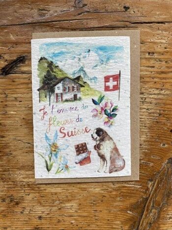 Carte de vœux ensemencée à planter Suisse en lot de 1 x 10 1