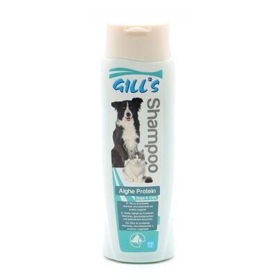 Dog shampoo - Gill's Algae Protein