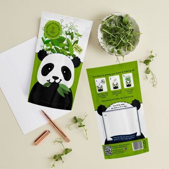 Paul Panda Carte de vœux pour zoo cultivable durable Cadeau de graines 2