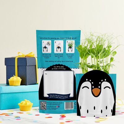 Sonny Penguin Tessera ecologica coltivabile sostenibile per lo zoo e regalo di semi