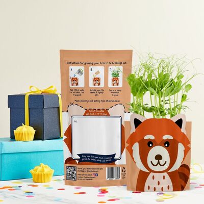 Ruby Red Panda Nachhaltig anbaubare Grußkarten-Samen-Geschenk