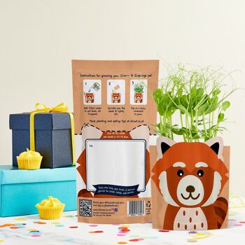 Ruby Red Panda Carte de vœux cultivable durable Cadeau de graines 1