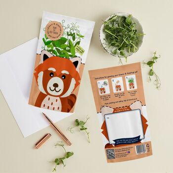 Ruby Red Panda Carte de vœux cultivable durable Cadeau de graines 2