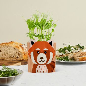 Ruby Red Panda Carte de vœux cultivable durable Cadeau de graines 3