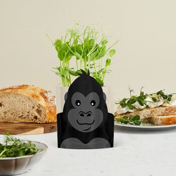 George Gorilla Carte de zoo écologique cultivable durable et cadeau de graines 3