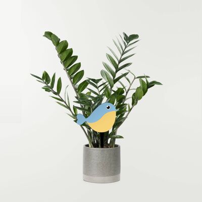 Selección de plantas con patrón de pájaros - objeto decorativo para jardineras y macetas