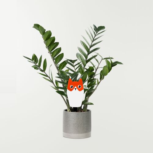 Pic À Plante Motif Chat - objet décoratif pour jardiniere et pots