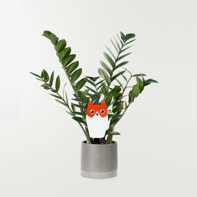 Pflanzenpflücker mit Katzenmuster – dekoratives Objekt für Pflanzgefäße und Töpfe