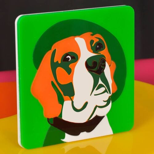 Tableau Plexi Coloré Beagle - panneau chien décoration murale