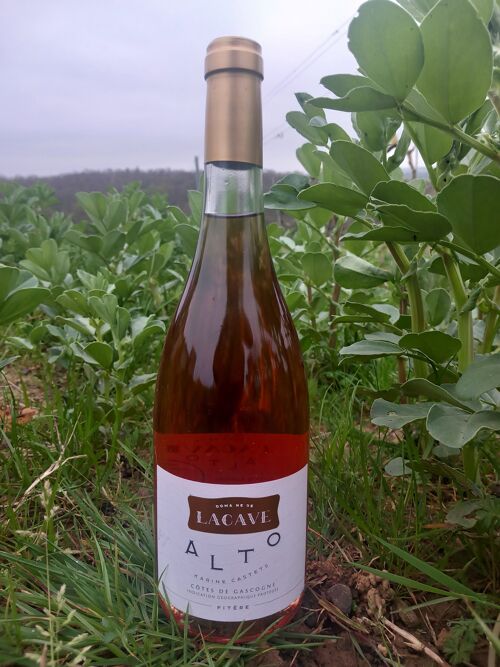 Vin rosé conversion bio - Domaine Lacave - ALTO - 2021 - 75 cl
