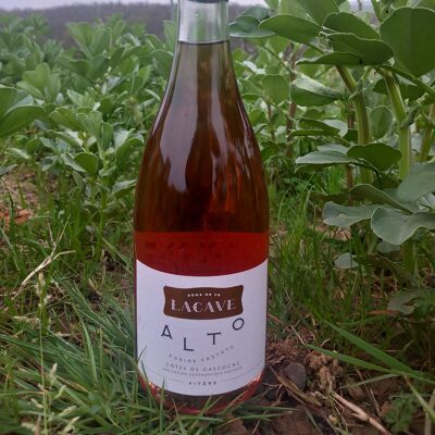 Vin rosé conversion bio - Domaine Lacave - ALTO - 2021 - 75 cl