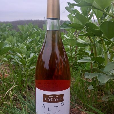 Vino rosato di conversione biologica - Domaine Lacave - ALTO - 2021 - 75 cl