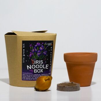 Boîte de nouilles Iris - Blue Magic Hollandica Grow kit 1
