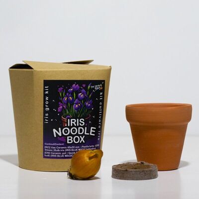 Scatola per noodle Iris - Kit di coltivazione Blue Magic Hollandica