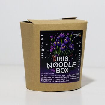 Boîte de nouilles Iris - Blue Magic Hollandica Grow kit 3