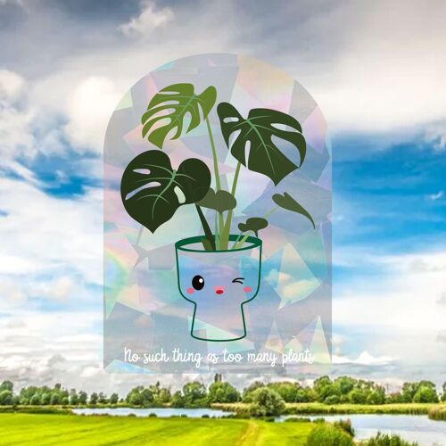 Monstera rainbowmaker sun catcher sticker window decal houseplant