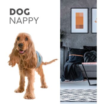 Couches pour chiens - Dog Nappy 1