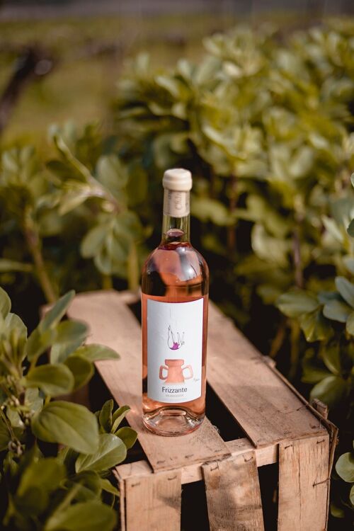 Vin Rosé Bio Malbec Artaban pétillant 2023 "Frizzante"