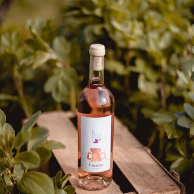 Bio-Roséwein Malbec Artaban Schaumwein 2023 „Frizzante“