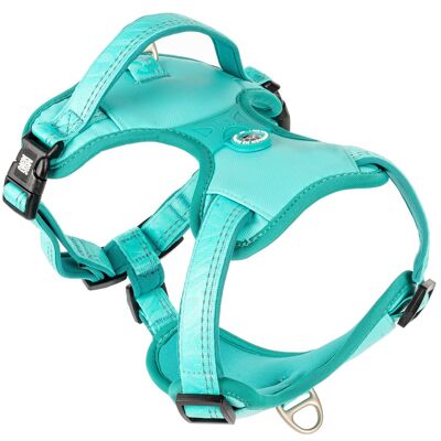 JE T'AI EU!    Harnais de sport pour chien - Matrix 2.0 turquoise