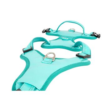 JE T'AI EU!    Harnais de sport pour chien - Matrix 2.0 turquoise 7