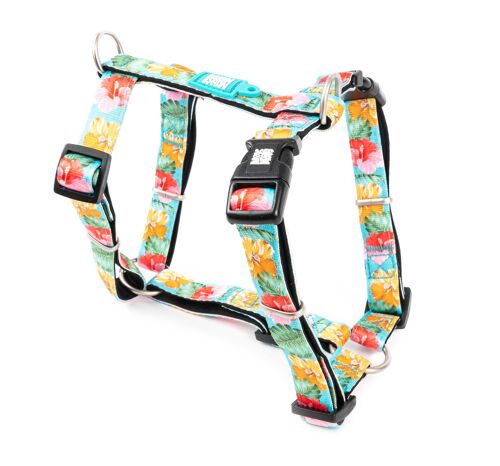 Dog H-Harness - Exotique