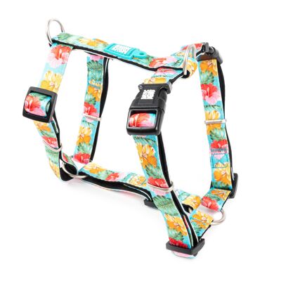 Dog H-Harness - Exotic