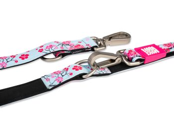 Laisse multifonction pour chien - Cherry Bloom 4