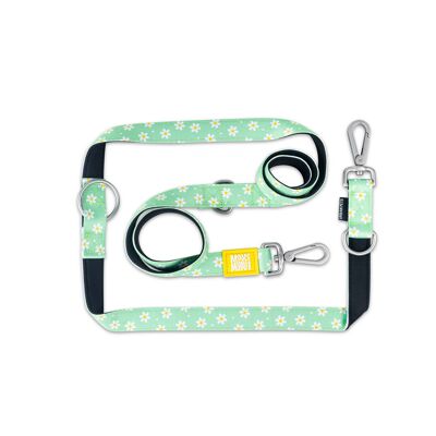 Dog Multi-Function Leash - Daisy