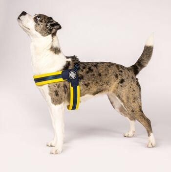 Harnais pour chien Q-Fit jaune 5