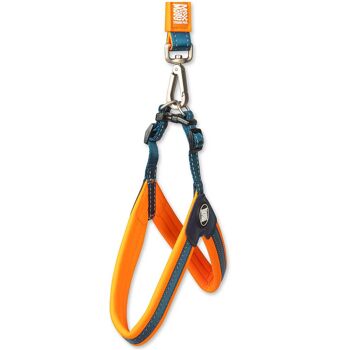 Harnais pour chien Q-Fit Orange 12