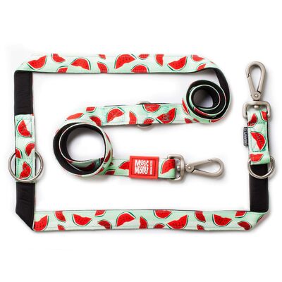 Dog Multi-Function Leash - Watermelon