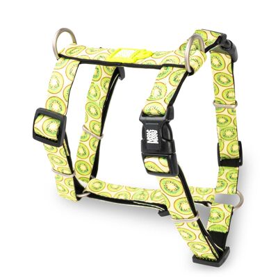 Pettorina ad H - Kiwi