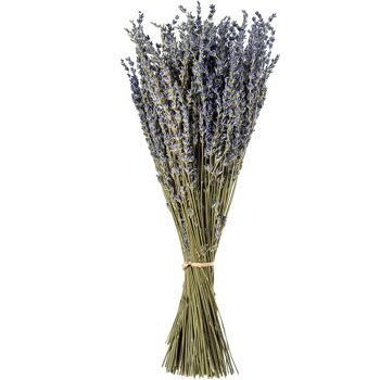 BOUQUET DE FLEURS DE LAVANDE NATURELLE PRÉSERVÉE _40CM ST27499 1