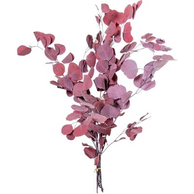 BOUQUET DI FOGLIE DI EUCALIPTO BORDEAUX NATURALI STABILIZZATE _70-80CM ST27442