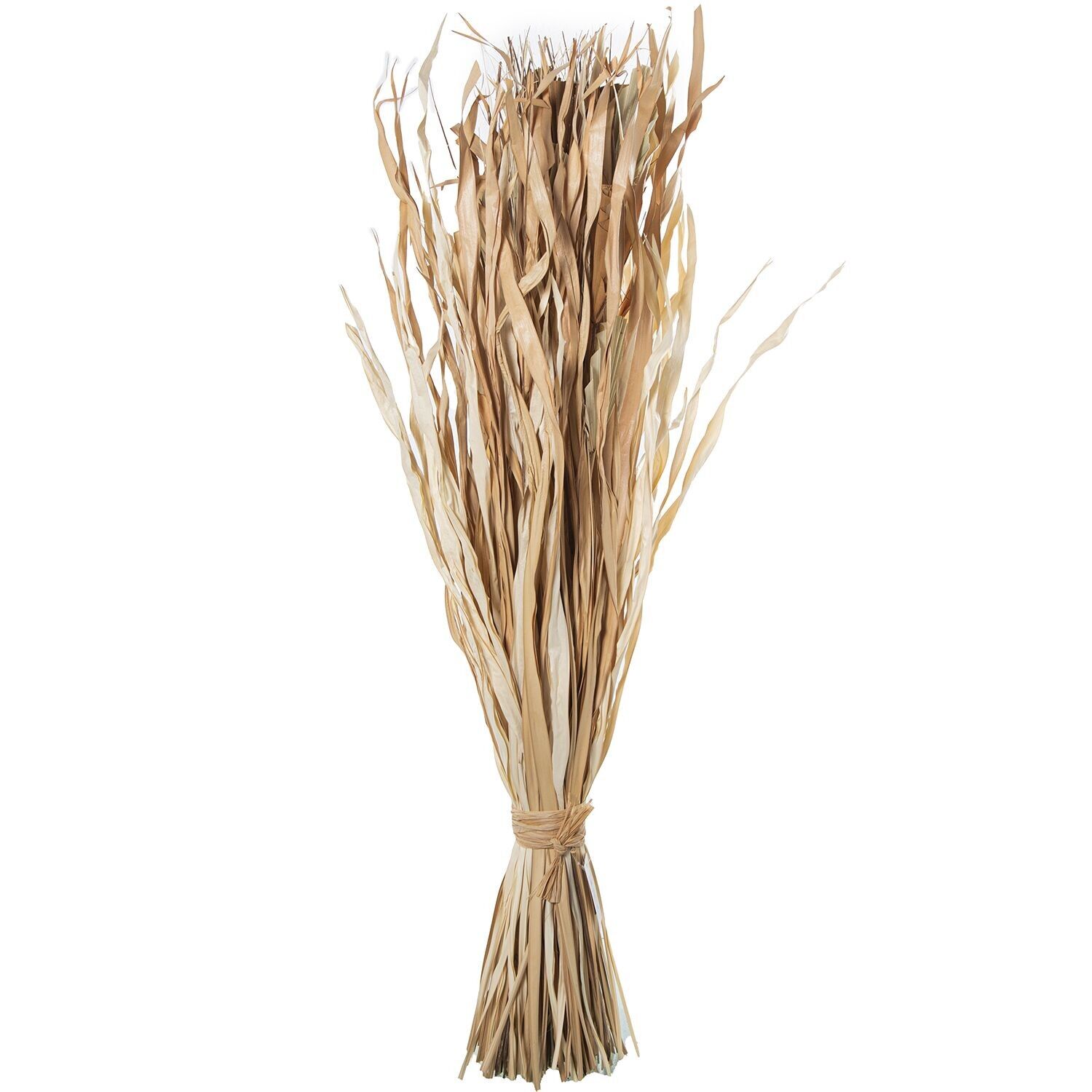 Mazzo di foglie di palma naturali 100cm st26630