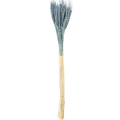 BOUQUET OF PRESERVED NATURAL BLUE WHEAT STICKS _70CM ST27495