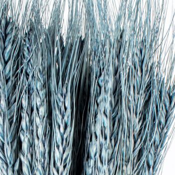 BOUQUET DE BÂTONNETS DE BLEU NATUREL CONSERVÉ _70CM ST27495 5