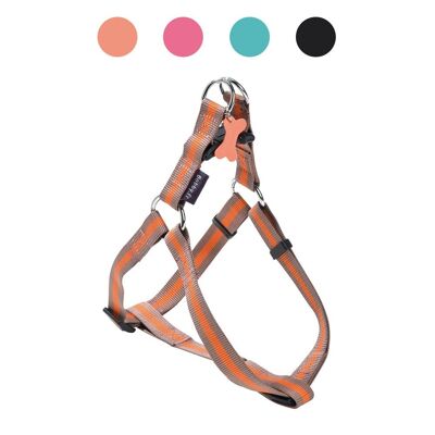 Harnais pour chien Bobby - Arlequin