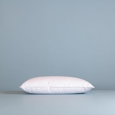 BASIC cushion