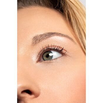 Brow Plume Perfection 01 Ash Blonde 2