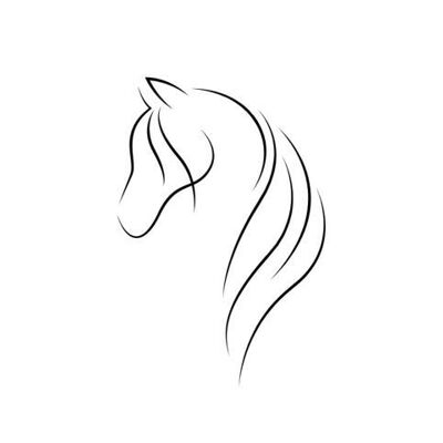 Tatuaje temporal Sioou - Cabeza de caballo de una línea x5