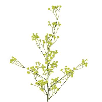 BRANCHE DE FLEUR 66CM VERT _66CM, POLY╔STER ST27777 1