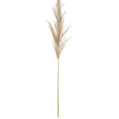 RAMO DI ERBA DI PAMPA BIANCO NATURALE CONSERVATO _60CM ST27437