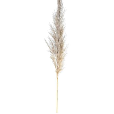 PRESERVED NATURAL PAMPA GRASS BRANCH _60CM ST27436