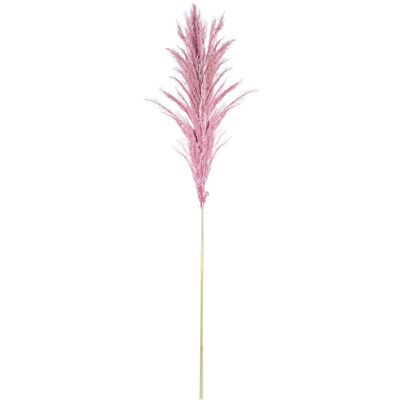 PRESERVED NATURAL PINK PAMPA GRASS BRANCH _60CM ST27438