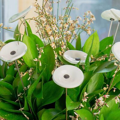 Fiore Rotondo Piccolo In Vetro Per Uso Esterno Di Colore Bianco