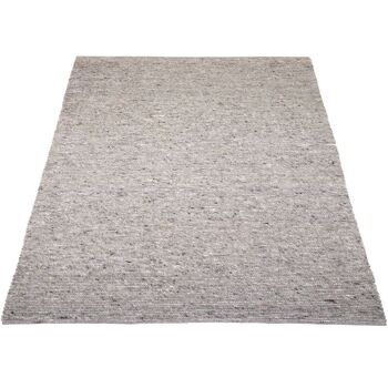 Tapis Scott Beige Foncé 240 x 340 cm 1