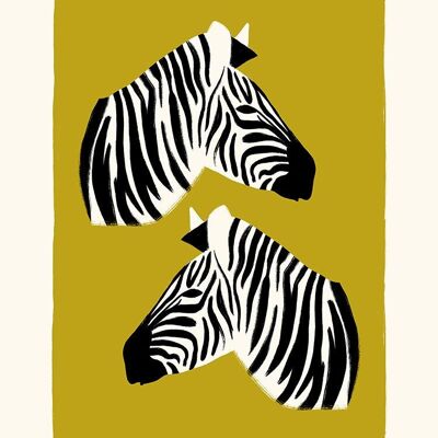 Zebras