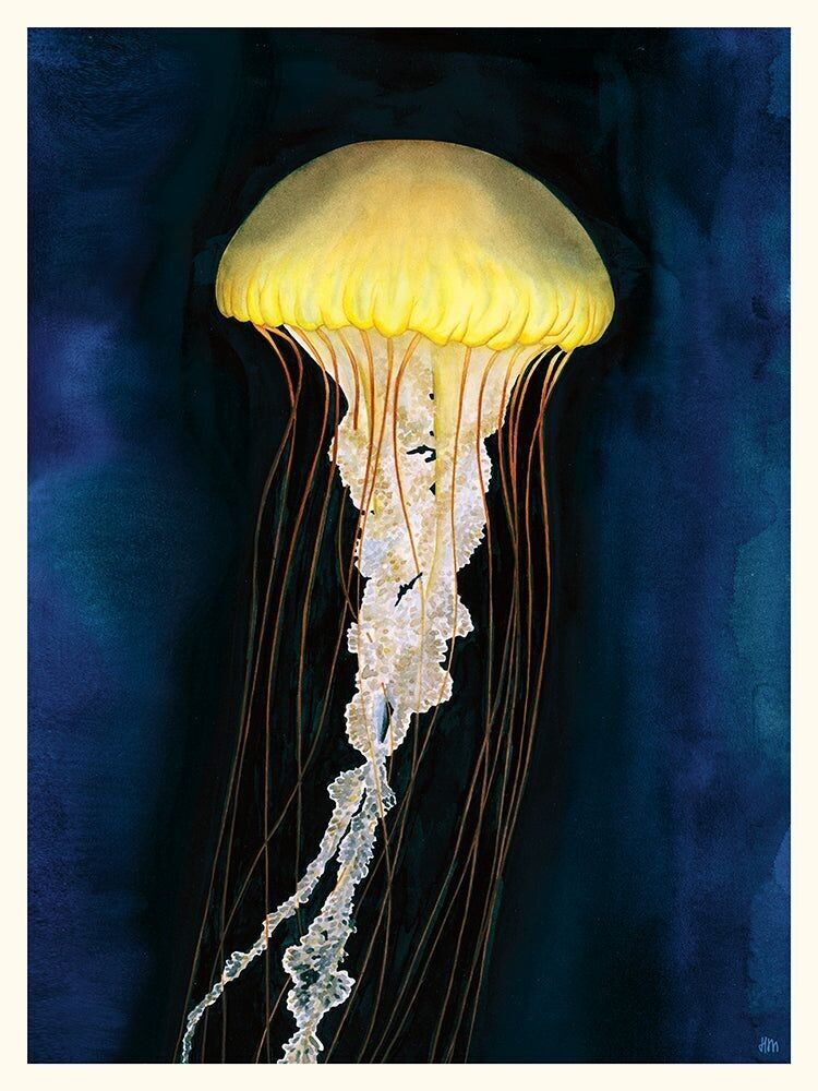 Hélène Monfort Jellyfish Poster